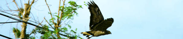 �J���������V����