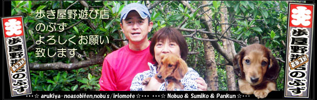 ���\�����炱��ȕv�w�ƌ��P�C�̓��L�ł��B�֓��l�Ɗ֐��l�������̉��Ō��������\���ŕ�炵�Ă��܂��B�ق̂ڂ̃��C�t��(���L�E�����X�V��)