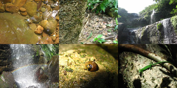 ���c���̑�̑f�G�Ȏʐ^