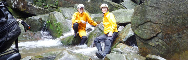 ���肪�Ƃ����\��