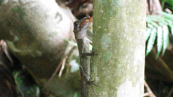 �L�m�{���g�J�Q���H����