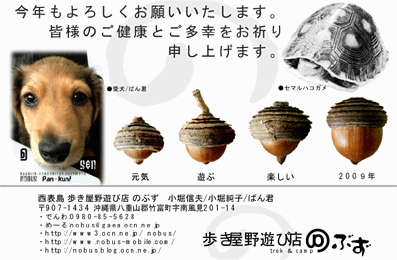 �V�N�̂����A