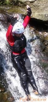 ���\���P���̌��g���b�L���O�E�f�C�c�A�[/�L���j�I�j���O�̌��œV�R�̊����