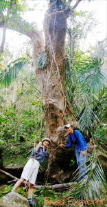 �T�K����(�T�K���o�i)�{�V���[�g�c�A�[�b���\��/�W�����O���g���b�L���O