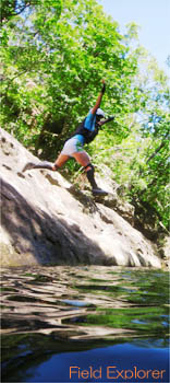 ���\���P���̌��g���b�L���O�E�f�C�c�A�[/�匩�Ӑ�֔�э���