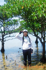 ���\���P���̌��g���b�L���O�E�f�C�c�A�[/�}���O���[�u�T��