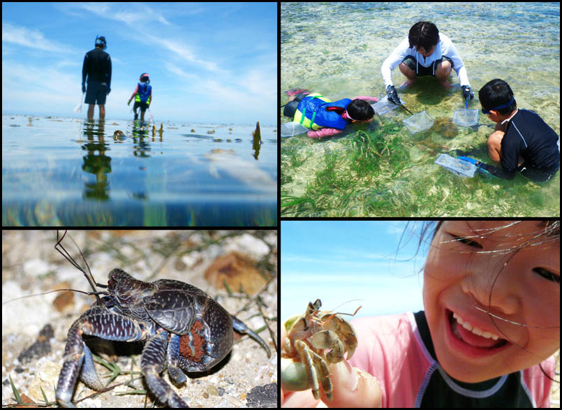 ���\�� �C�x���g/���R�ώ@��E�i���G�R�c�A�[ 2009�c�A�[�ʐ^���