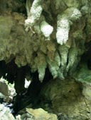 �̂Ԃ����q�l�̐��uyune�����̐��\�������L�v �ߓ���