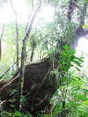 �̂Ԃ����q�l�̐��uyune�����̐��\�������L�v �L�����C�k�r�A