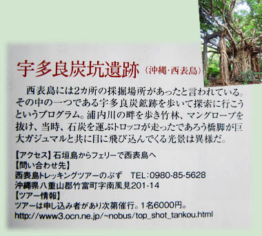 �F���ǒY�z��� �����ȏ��b���\���G�R�g���b�L���O��Տ���