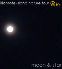 �i�C�g�c�A�[�E�����c�A�[�̏Љ�b���\���̌�/����ώ@��