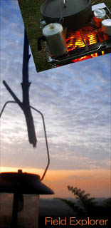 �R�L�����v�c�A�[