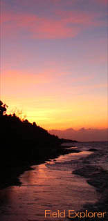 �C�L�����v�c�A�[