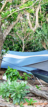 �C�L�����v�c�A�[