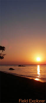 �C�L�����v