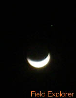 �C�L�����v�c�A�[