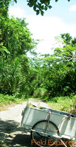 �����J�[