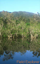 �W�����O���̒��̐�