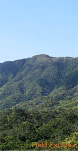 ���\���g���b�L���O �Ì��x�c�A�[/���\���@�Ì��x�̑S�i