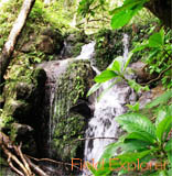 ���\���g���b�L���O �Ì��x�c�A�[/���\���A�Ì��x�̓r�����[�g�ɂȂ��