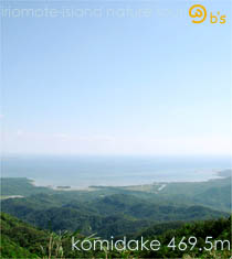 ���\���P���̌��g���b�L���O�E�f�C�c�A�[/�Ì��x