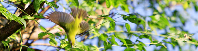 �A�h�x���`���[/�ό��X�|�b�g