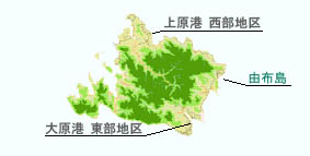 島の全景