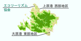 �G�R�c�[���Y������