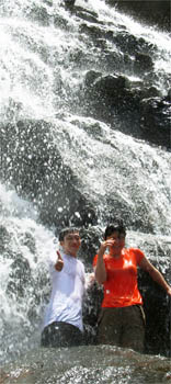 �}���O�X�N�̑�c�A�[�b���\���g���b�L���O�c�A�[/���\���@�}���O�X�N�c�A�[