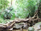 �̂Ԃ����q�l�̐��uyune�����̐��\�������L�v ���_�}�̂�