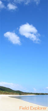 �i�C�g�c�A�[�E�����c�A�[�̏Љ�b���\���̌�/�T���h�E�H�[�L���O�����|�C���g