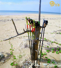 �i�C�g�c�A�[�E�����c�A�[�̏Љ�b���\���̌�/�m���f�B�b�N