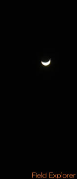 �i�C�g�c�A�[�E�����c�A�[�̏Љ�b���\���̌�/�O����