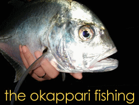 �����c�A�[�A�i�C�g�c�A�[ �ނ�/�m���f�B�b�N�E�H�[�L���O