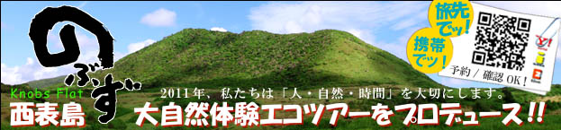 ���\���̐l�C�v�����E�l�C�R�[�X�@�厩�R�̌��G�R�c�A�[���v���f���[�X