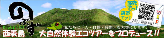 �g���b�L���O�c�A�[�������p����܂����q�l�ցA�����ȏ��̂��񍐁B