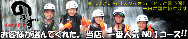 ���\���@�ό��@�l�C�R�[�X�E�l�C�v����