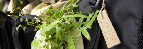 �̂Ԃ��̃����^���U�b�N�ɉ������Ă鉮�v���̃^�O