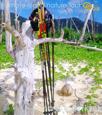 ���\���P���̌��g���b�L���O�E�f�C�c�A�[/�m���f�B�b�N�E�H�[�L���O�̌� �P���c�A�[