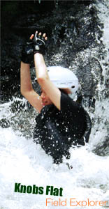 �L���j�I�j���O�̌����m���f�B�b�N�E�H�[�L���O�̌��b���\��