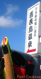 �m���f�B�b�N�E�H�[�L���O�ƗR�z���A�œ�[����