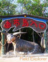 �m���f�B�b�N�E�H�[�L���O�ƗR�z��