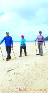 �m���f�B�b�N�E�H�[�L���O�ƃT���h�E�H�[�L���O