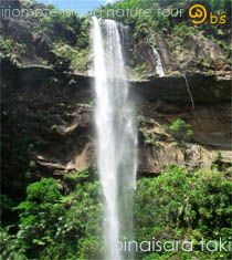 ���\���P���̌��g���b�L���O�E�f�C�c�A�[/�s�i�C�T�[���̑�(�q�i�C�T�[���̑�)�g���b�L���O�ő������