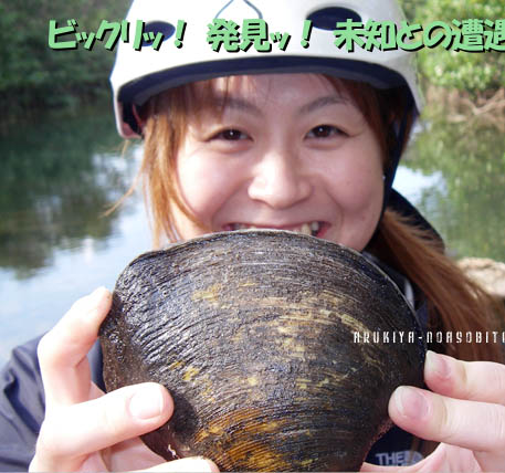 �T���[�g���b�L���O���L���j�I�j���O ��