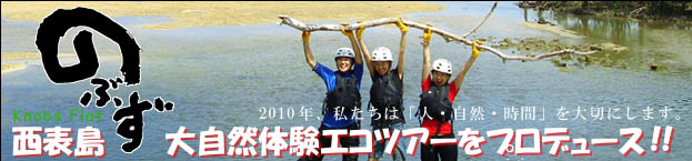 ���\���T���[�g���b�L���O �L���j�I�j���O �R�[�X