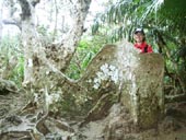 �̂Ԃ����q�l�̐��uyune�����̐��\�������L�v �Ì��̃T�L�V�}�X�I�E�Q��