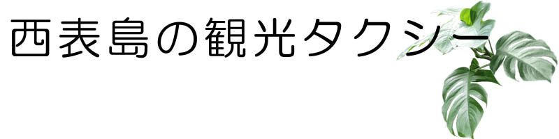 西表島の交通 タクシー