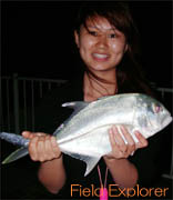 �̌��������ς�ނ�b���\���̒ނ�c�A�[/���߂Ă̒ނ�ł��̃K�[���ł��I