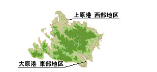 �H��̃i�C�g�ό�